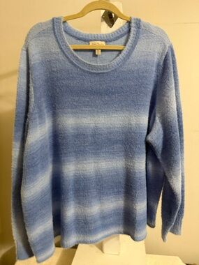 NWT Any Body Sweater